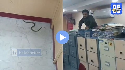 A snake entering a rural bank in Madhya Pradesh causes sudden panic among staff and customers, captured in a now-viral video.
