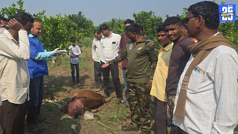 Second Leopard Attack in Rui Within Twenty Days Creates Panic