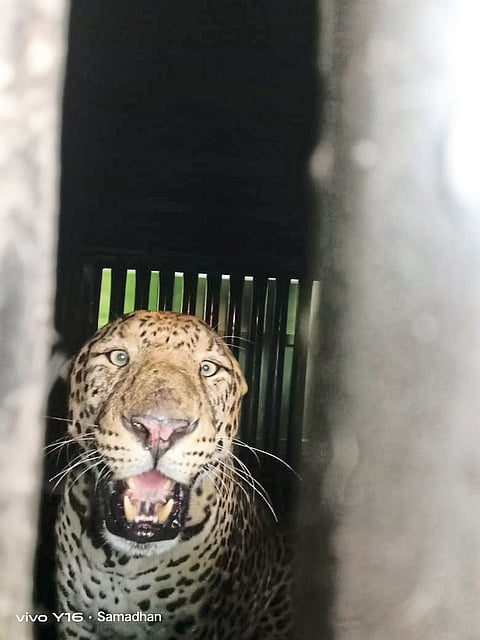 हिंगणीबेर्डी येथे जेरबंद