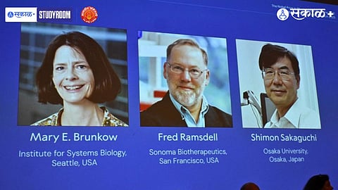 2025 Nobel Prize in Medicine