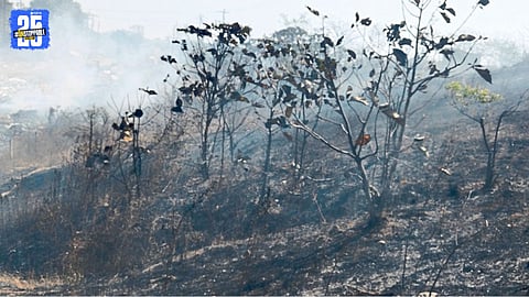 Fire at Shiroli Waste Project Sparks