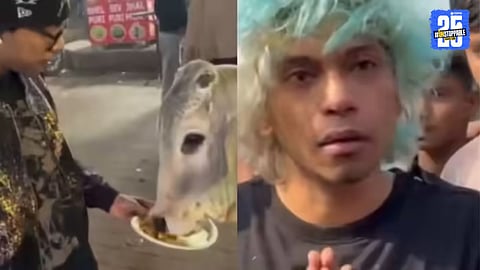 social media viral video