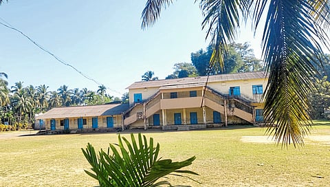 अलिबाग : बिबट्याच्या भीतीने नागाव परिसरातील शाळांना सुट्टी