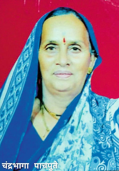 शिंदे-वासुली सोसायटीच्या
अध्यक्षपदी पाचपुते