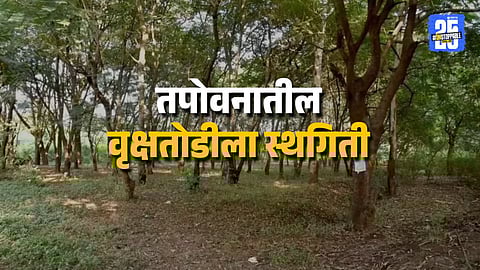 No Tree Should Be Cut Orders NGT to Nashik Civic Body