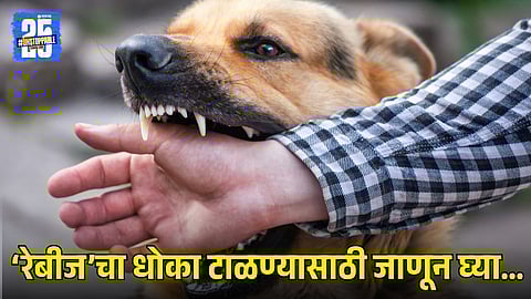 Rabies Awareness