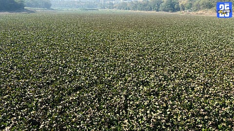 PMC Claims 30,000 Cubic Meter Silt Removal from Katraj Lake