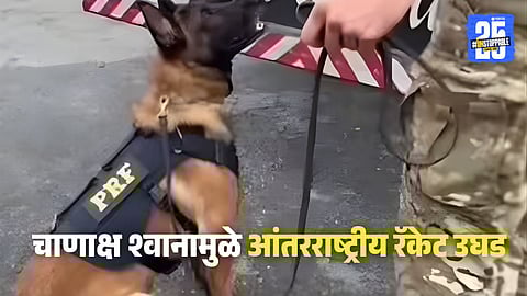 Brazil police officers inspect a truck tire after sniffer dogs detected concealed drugs worth ₹350 crore during a highway operation.