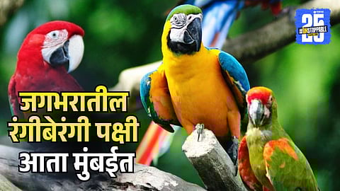 Mumbai Exotic Birds Park