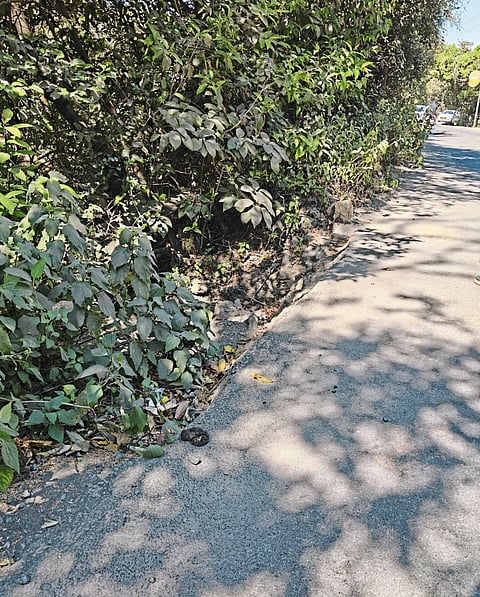 वेण्णा लेक रस्त्यावर अपघात; तरुण जखमी, जबाबदारी कोणाची?