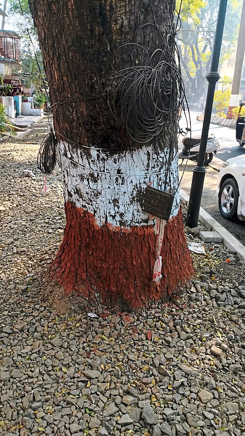 सकाळ संवाद