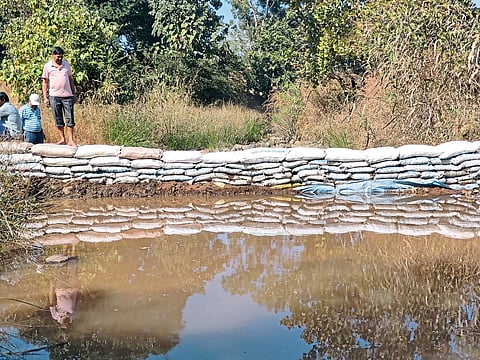 आंबाडे येथे श्रमदानातून बांधला बंधारा