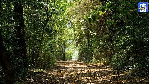 Tribal Development Department Launches Devarai Conservation Scheme