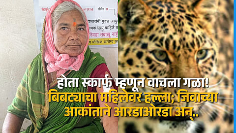 Leopard Pounces from Grass, Elderly Woman Survives Near-Fatal Attack