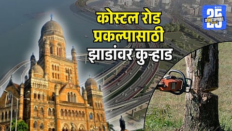 BMC will cut trees for coastal road project