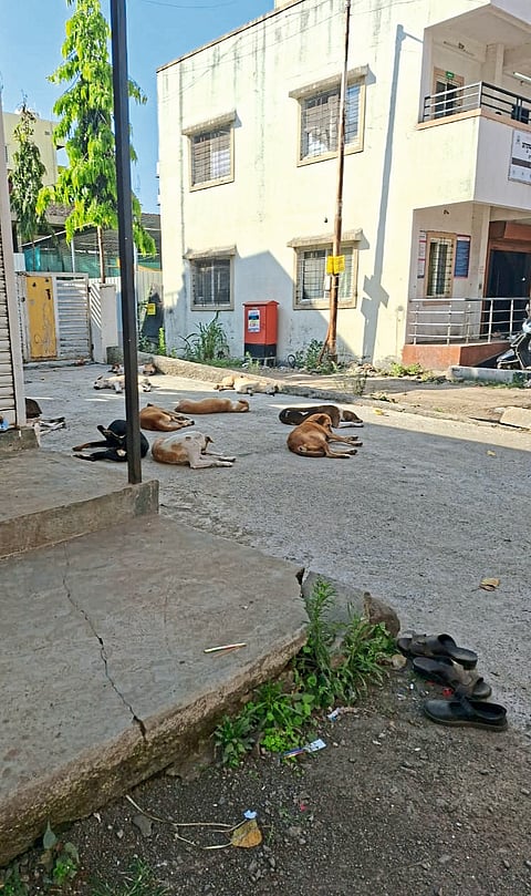 जाधववाडीत नागरी सुविधांची वानवा