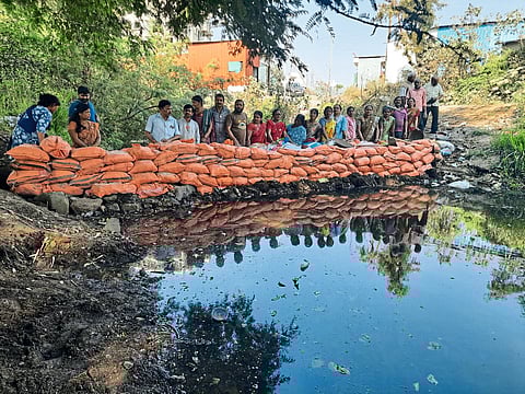 काळेवाडी सेवा केंद्राने कापूर ओढ्यात बंधारे बांधले