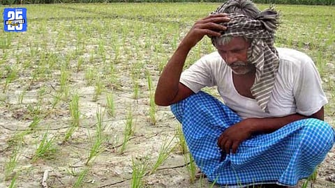 Quality Concerns Over Non-Dissolving Fertilizers