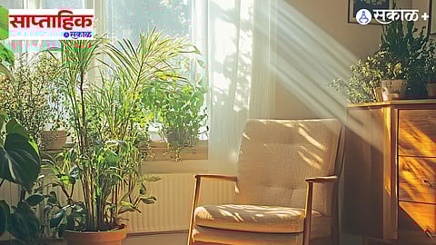 natural light interior design