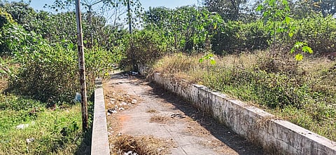 आरोग्य सुविधा, स्वच्छता, वाहतुकीकडे दुर्लक्ष