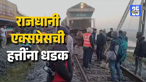 Elephant Killed in Train Accident