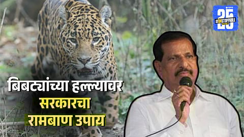 Ganesh Naik Says On Leopard Attack