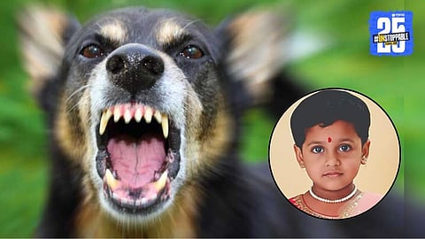 Stray Dog Attack on child girl in diva city