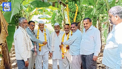 Banana Farming Success