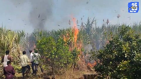 Sudden Fire in Thergaon Destroys Four Acres of Sugarcane