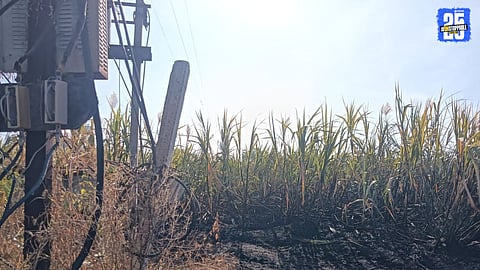 Incident of Sugarcane Fire in Murambi