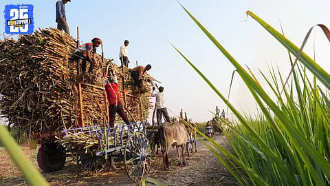 Sugarcane Cutting Extortion