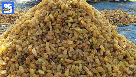 Raisin Import Row: Grape Growers Warn of Agitation if Probe Fails