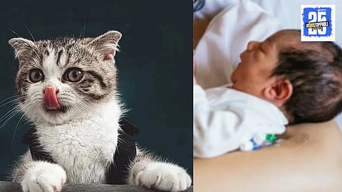 Baby Born In Pagliara dei Marsi Village