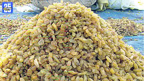Chinese Raisins via Afghanistan Exposed