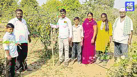 Innovative Farming: Bodhegaon Youth Turns Wasteland into Ber Orchard