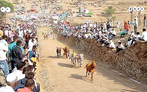 खेडमध्ये लपलाय निसर्गाच्या अद्भूत खजिना