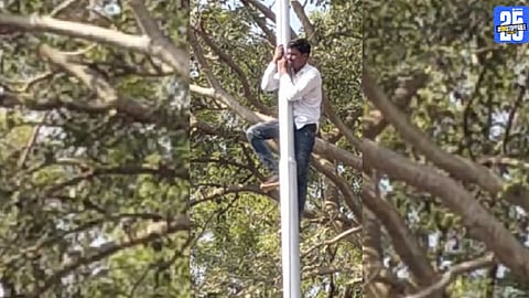 Youth seen atop a pole during a dramatic protest at Satara Collectorate.