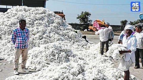 Cotton Sale Registration Deadline Extended Following High Court Directive