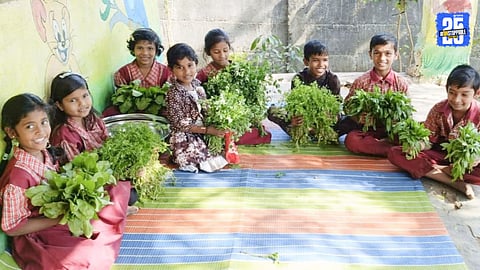 Students Develop a Thriving Kitchen Garden on School Campus