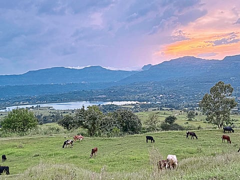 डोंगरदऱ्यांतून घुमणारी पर्यटनाची नवी चाहूल