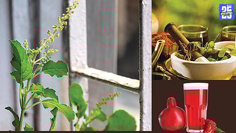 Understanding Urinary Tract Infections (UTI)