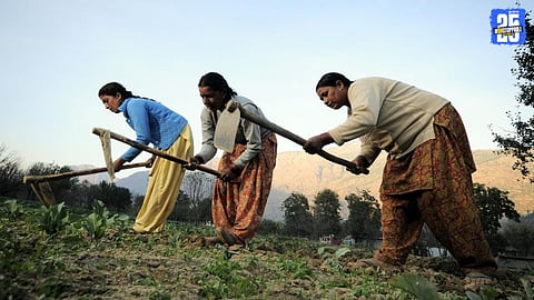 Global Recognition of Women Farmers
