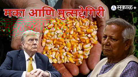 Bangladesh social media controversy, import export