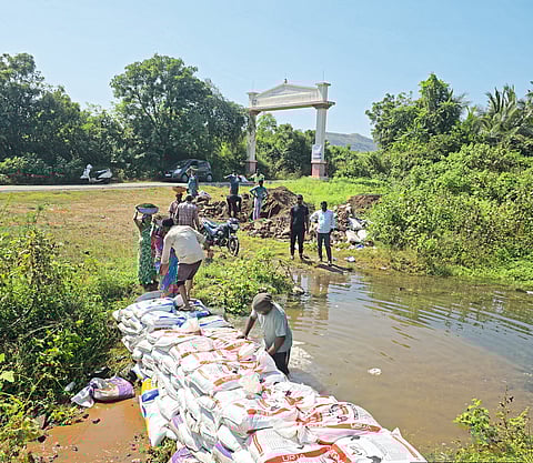 आडाचीवाडी येथे लोकसहभागातून वनराई बंधारा