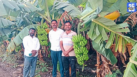 Lush banana plantations cultivated by young farmers in drought-prone Karapadi village.