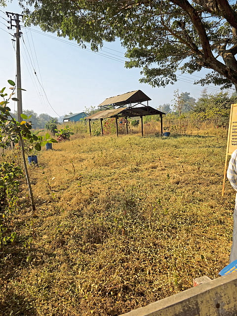 मसूर : मसूर येथील स्मशानभूमीची दयनीय अवस्था : वाढलेले तण, पाण्याची अनिशिता, सुविधांचा अभाव कायम