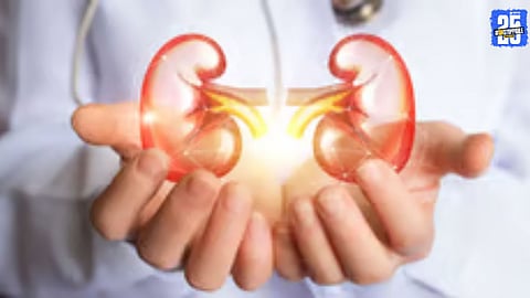 Investigation underway into the kidney racket involving Bangladeshi victims and surgeries in Tamil Nadu.