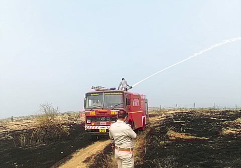 गिरीम येथे राखीव वनक्षेत्रात आग