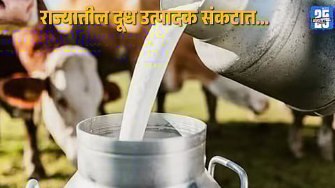 Rising input costs and stagnant milk prices push Maharashtra’s dairy farmers into crisis