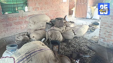 Thieves Steal Cashews Worth Lakhs After CCTV Failure